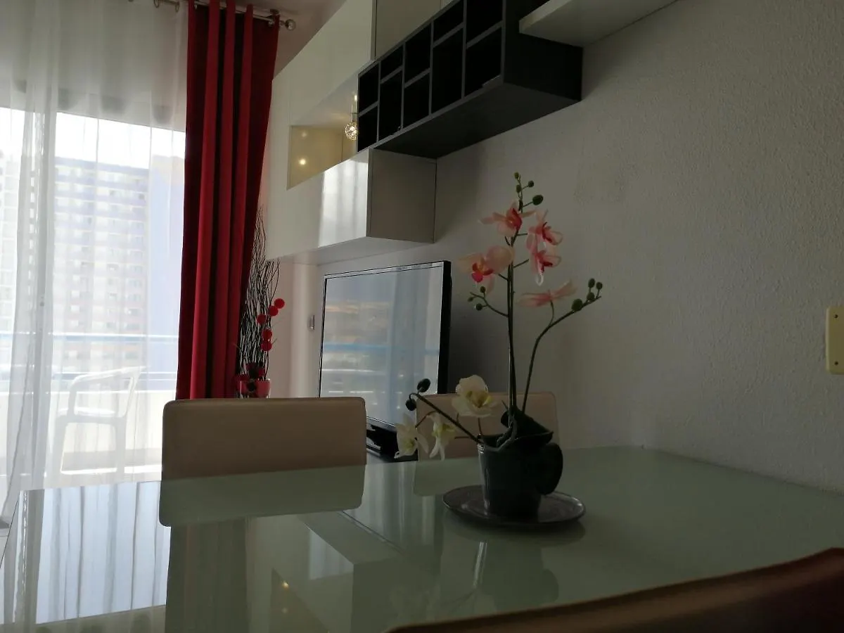 Big Apartment 1 Bedroom - Playa Paraiso  بلايا بارايسو
